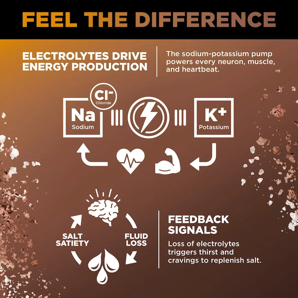 Chocolate Caramel LMNT infographic showing sodium and potassium’s role in energy production and how electrolyte loss can trigger thirst and salt cravings.