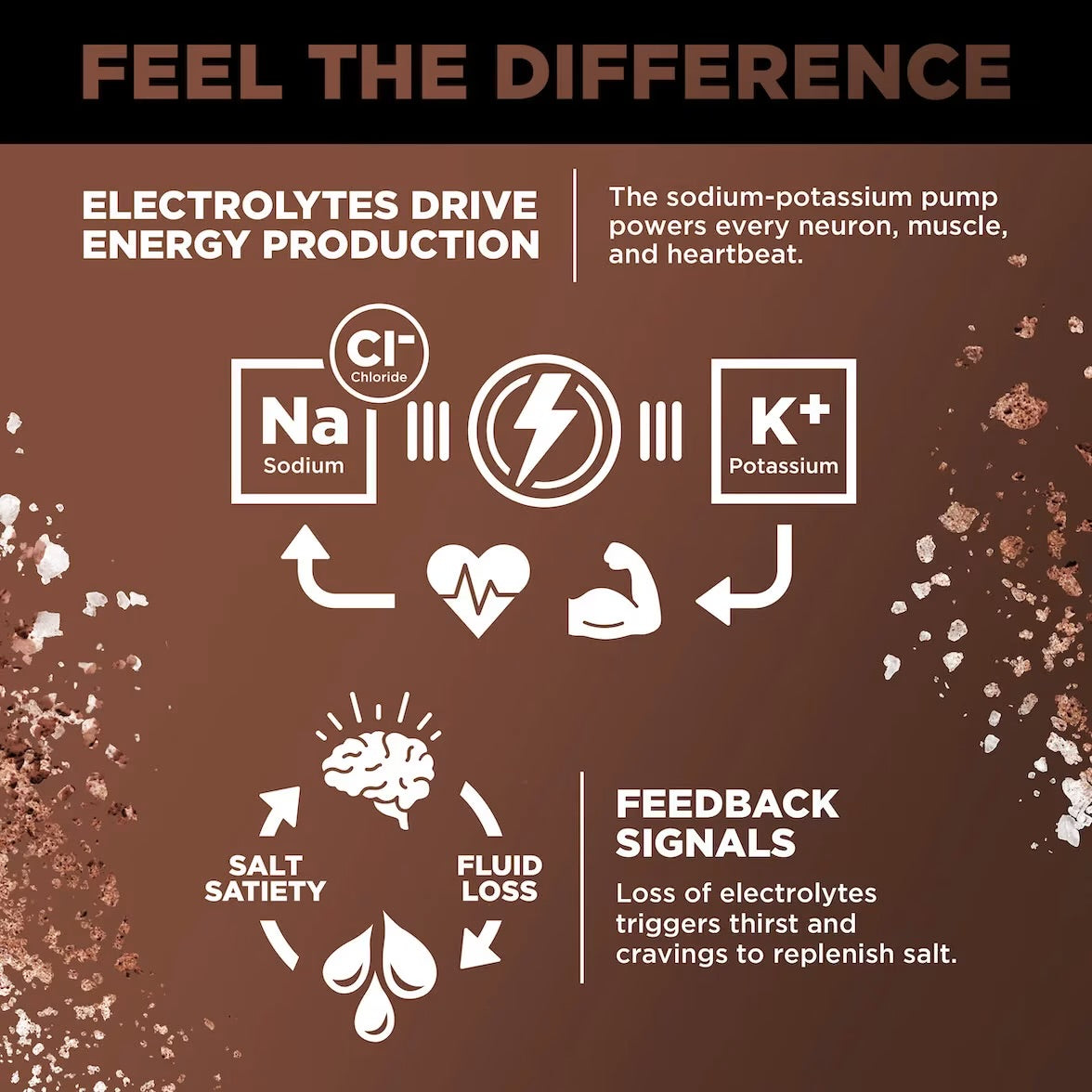 Brown LMNT infographic showing sodium and potassium’s role in energy production and how electrolyte loss can trigger thirst and salt cravings.