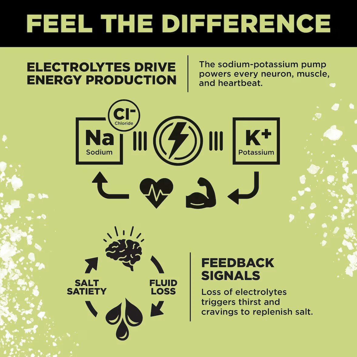 LMNT infographic about sodium and potassium in energy production, and how electrolyte loss can trigger thirst and salt cravings.