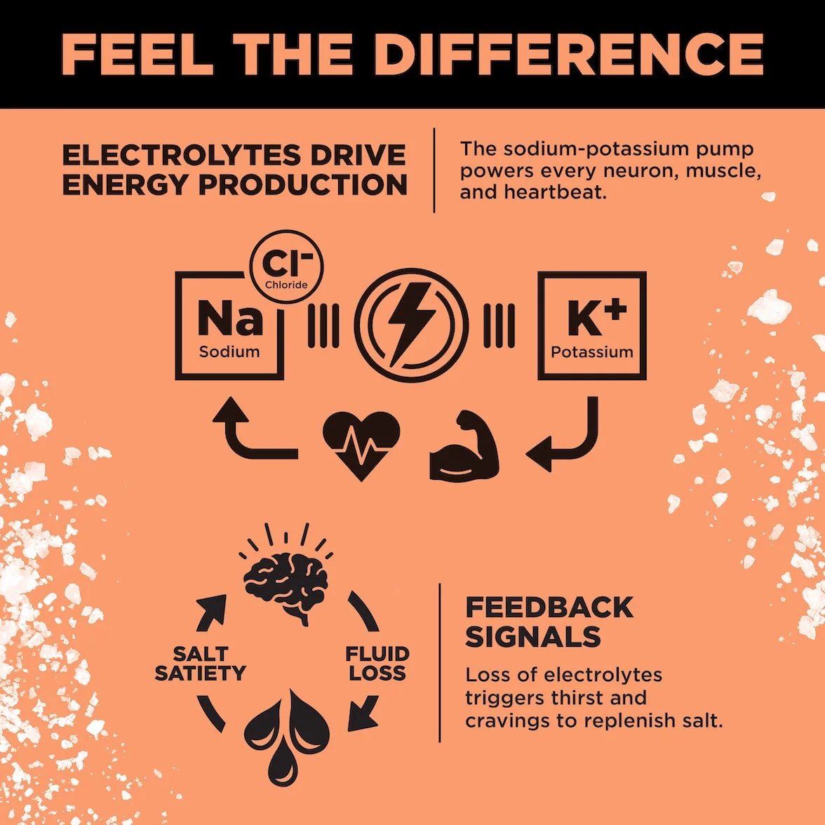 Grapefruit-coloured LMNT infographic showing sodium and potassium in energy production, and how electrolyte loss can trigger thirst and salt cravings.