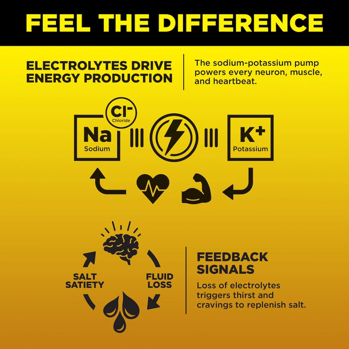 Yellow LMNT infographic showing sodium and potassium in energy production, plus how electrolyte loss can trigger thirst and salt cravings.