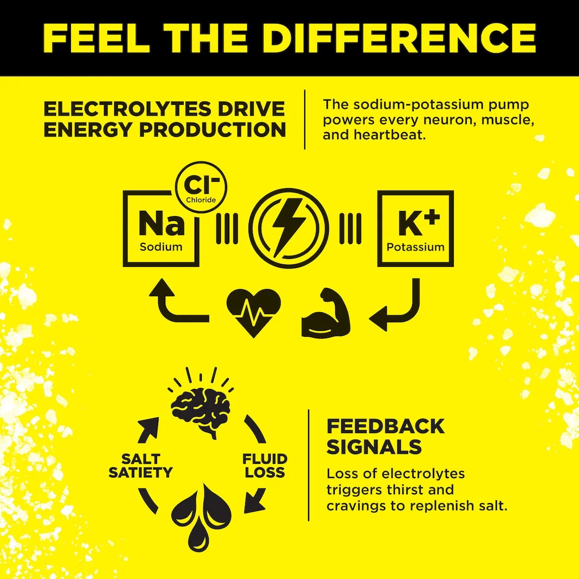 Yellow LMNT infographic showing sodium and potassium’s role in energy production and how electrolyte loss can trigger thirst and salt cravings.