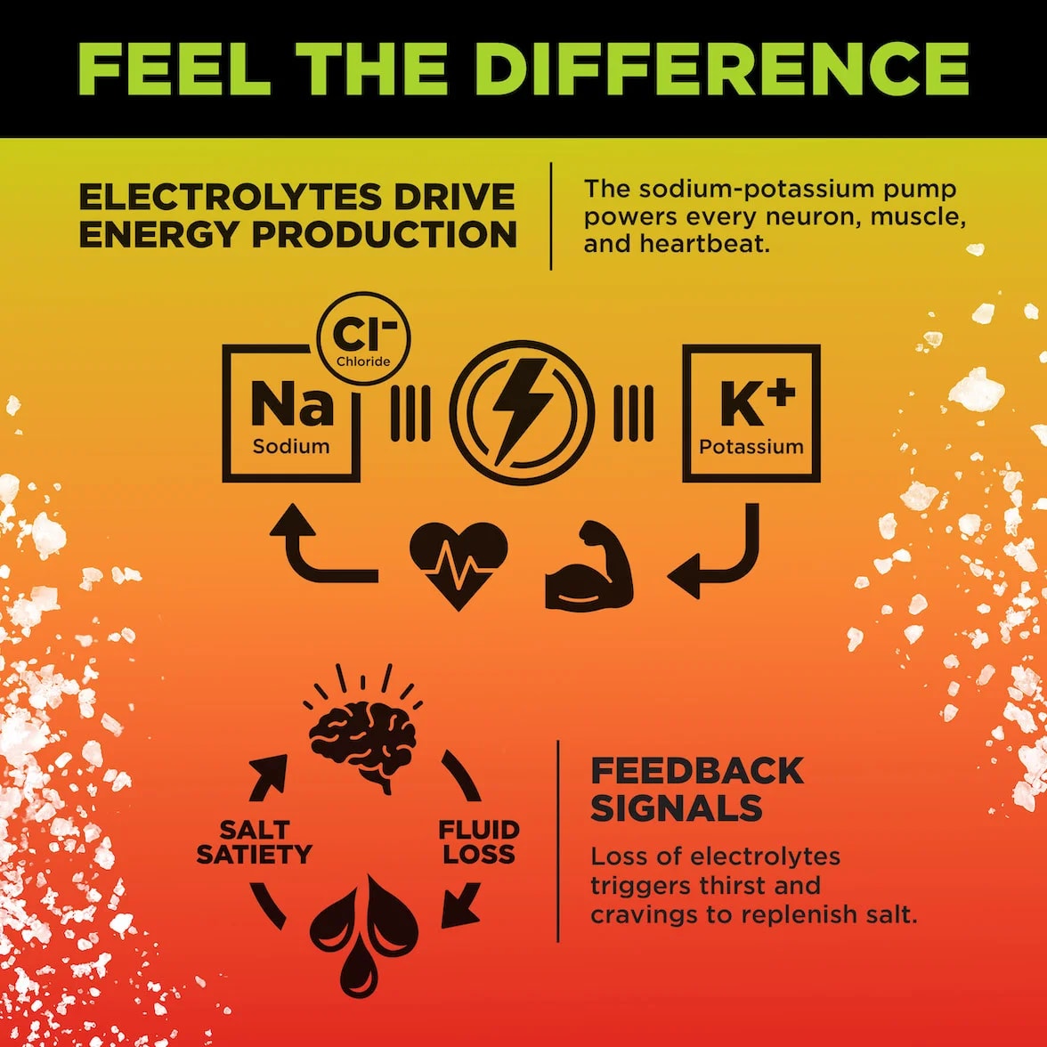 Mango Chili LMNT infographic showing sodium and potassium’s role in energy production and how electrolyte loss can trigger thirst and salt cravings.