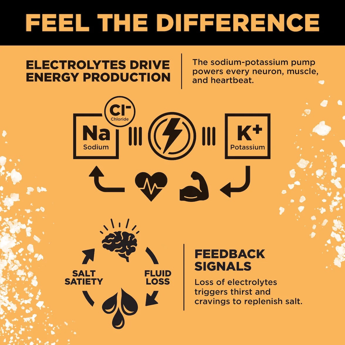 Orange LMNT infographic showing sodium and potassium in energy production, and how electrolyte loss can trigger thirst and salt cravings.