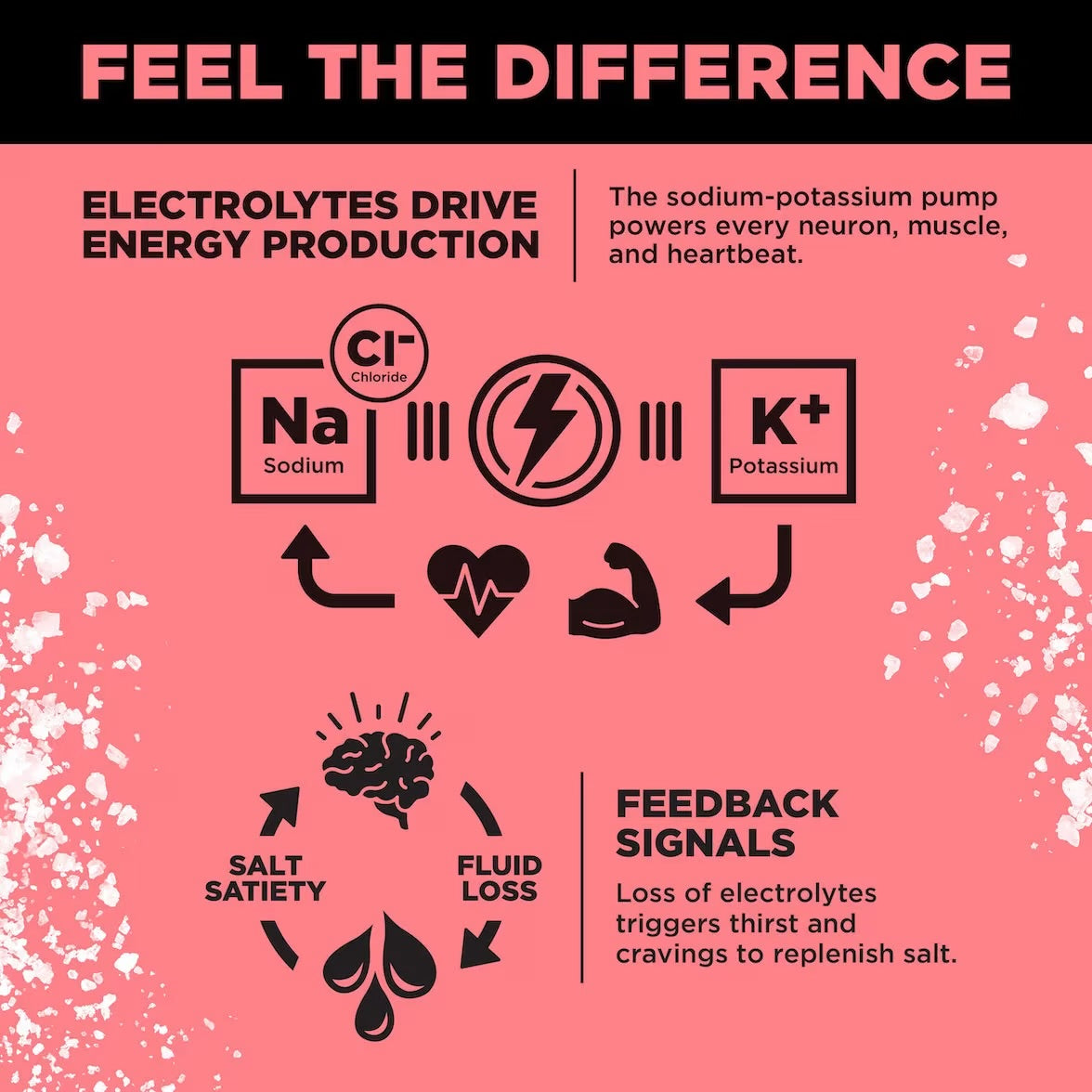 Infographic about sodium and potassium in energy production, and how electrolyte loss can trigger thirst and salt cravings.