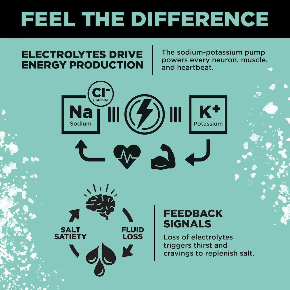 Raw Unflavoured LMNT infographic showing sodium and potassium’s role in energy production and how electrolyte loss can trigger thirst and salt cravings.