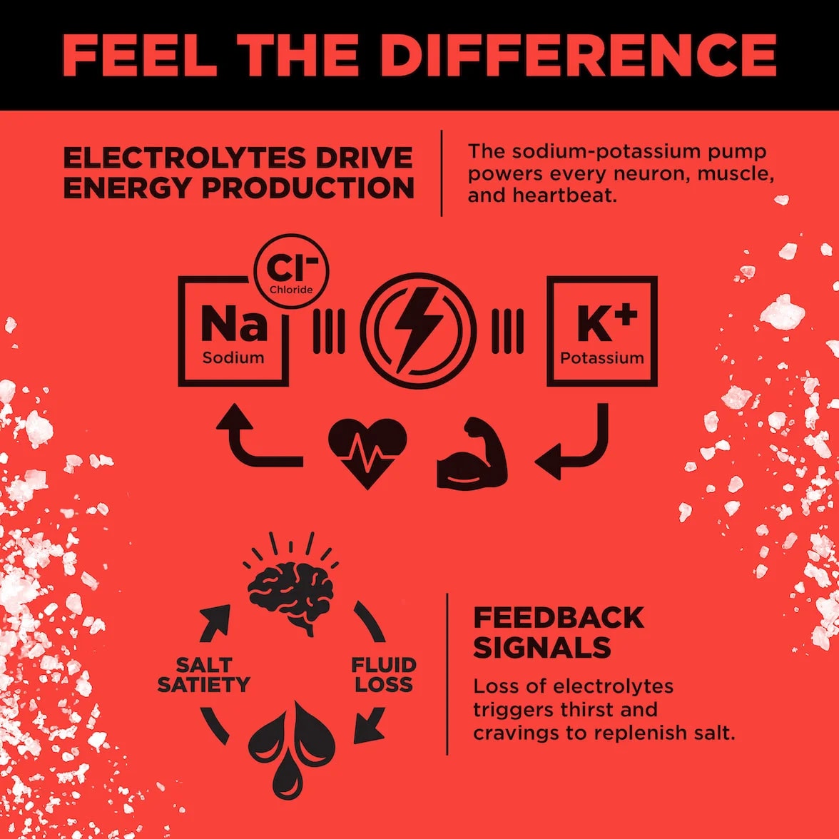 Red LMNT infographic showing sodium and potassium in energy production, and how electrolyte loss can trigger thirst and salt cravings.